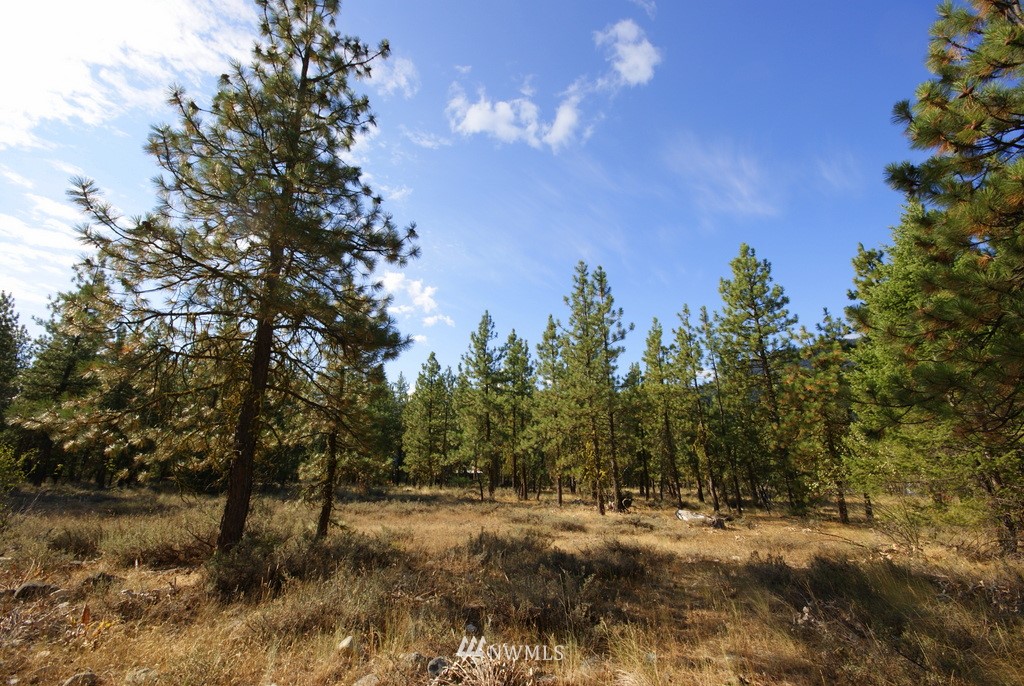 28 Last Chance Road Mazama, WA 98833 - Photo 13 of 15 Gallery Image 13