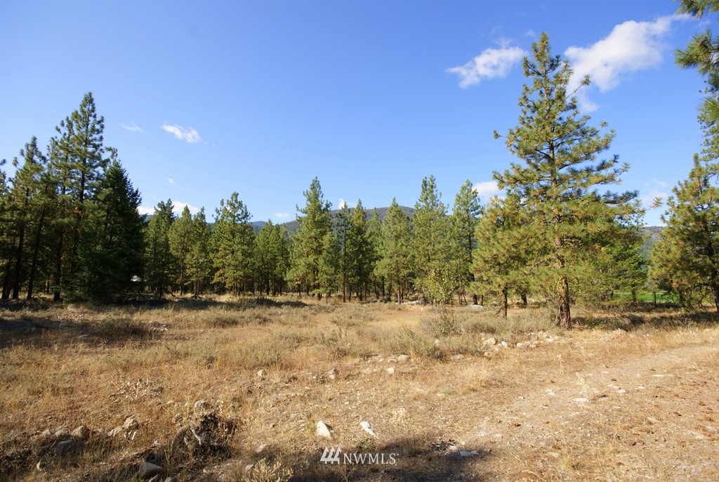 28 Last Chance Road Mazama, WA 98833 - Photo 14 of 15 Gallery Image 14