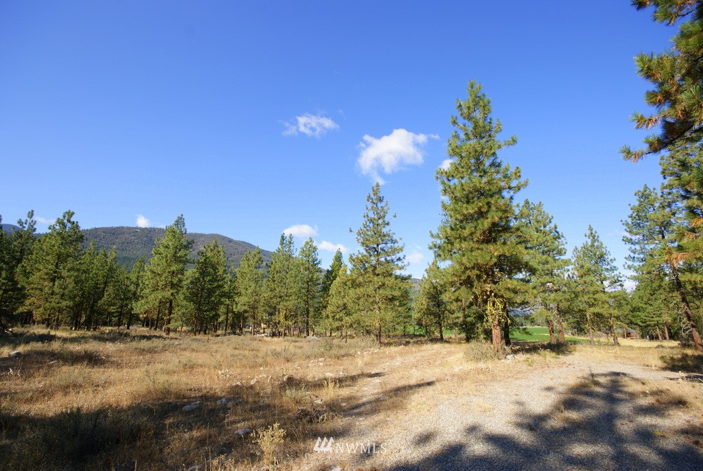 28 Last Chance Road Mazama, WA 98833 - Photo 15 of 15 Gallery Image 15