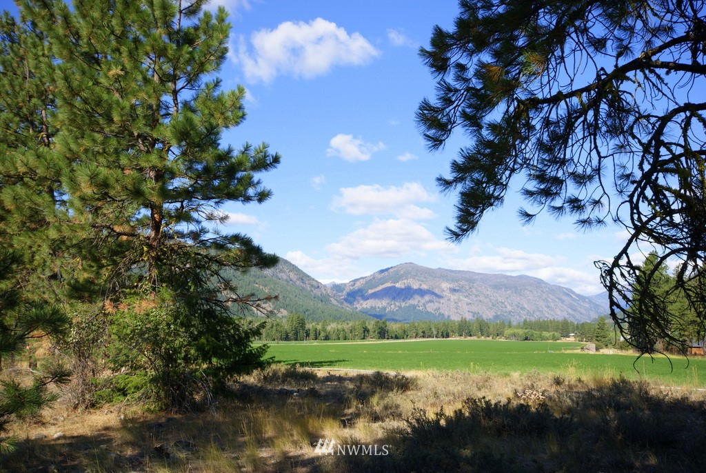 28 Last Chance Road Mazama, WA 98833 - Photo 5 of 15 Gallery Image 5