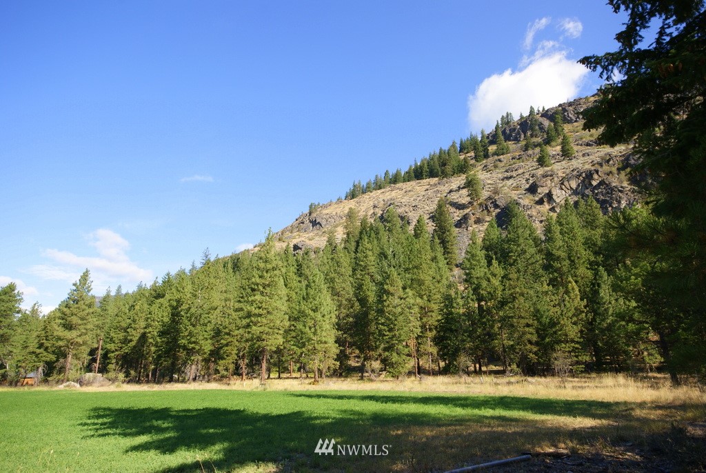 28 Last Chance Road Mazama, WA 98833 - Photo 6 of 15 Gallery Image 6
