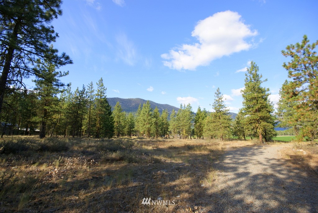 28 Last Chance Road Mazama, WA 98833 - Photo 8 of 15 Gallery Image 8