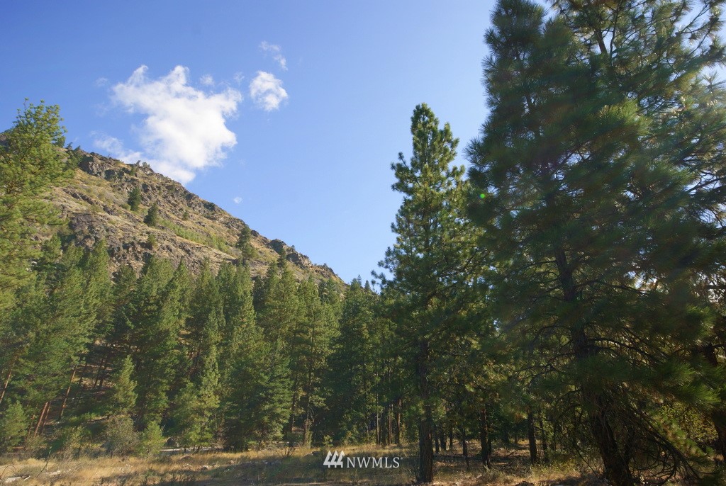 28 Last Chance Road Mazama, WA 98833 - Photo 10 of 15 Gallery Image 10
