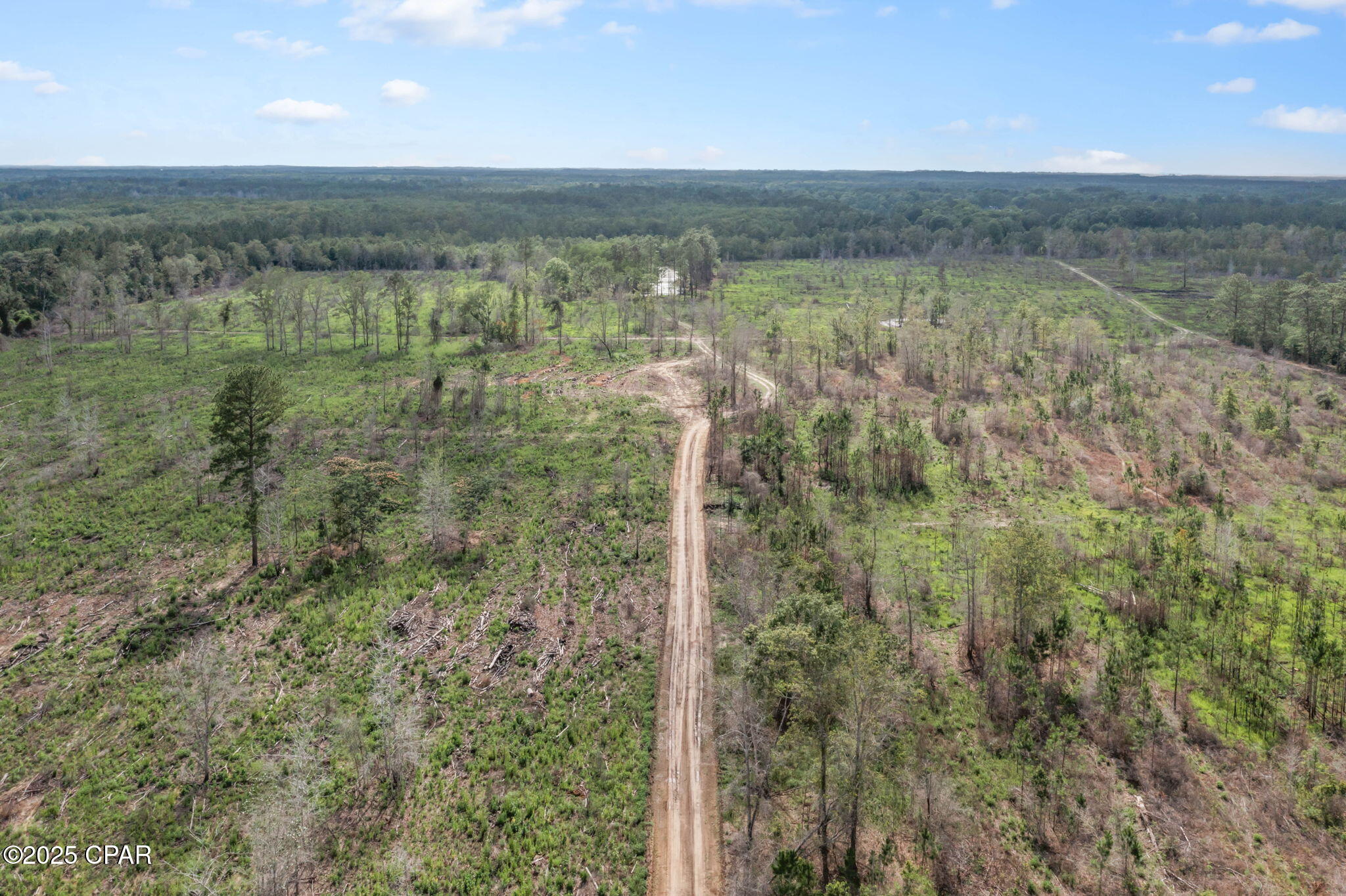 Xxx Cope Road Chipley, FL 32428 - Photo 20 of 34