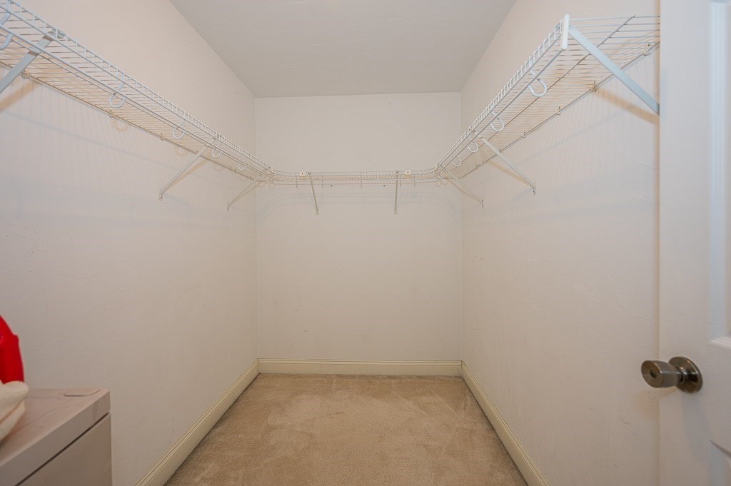 203 Norfolk Street Worcester, MA 01604 - Photo 25 of 38