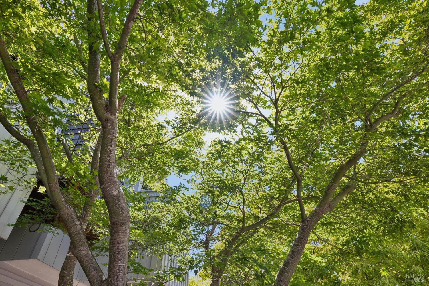 9 Greenside Way San Rafael, CA 94901 - Photo 2 of 29