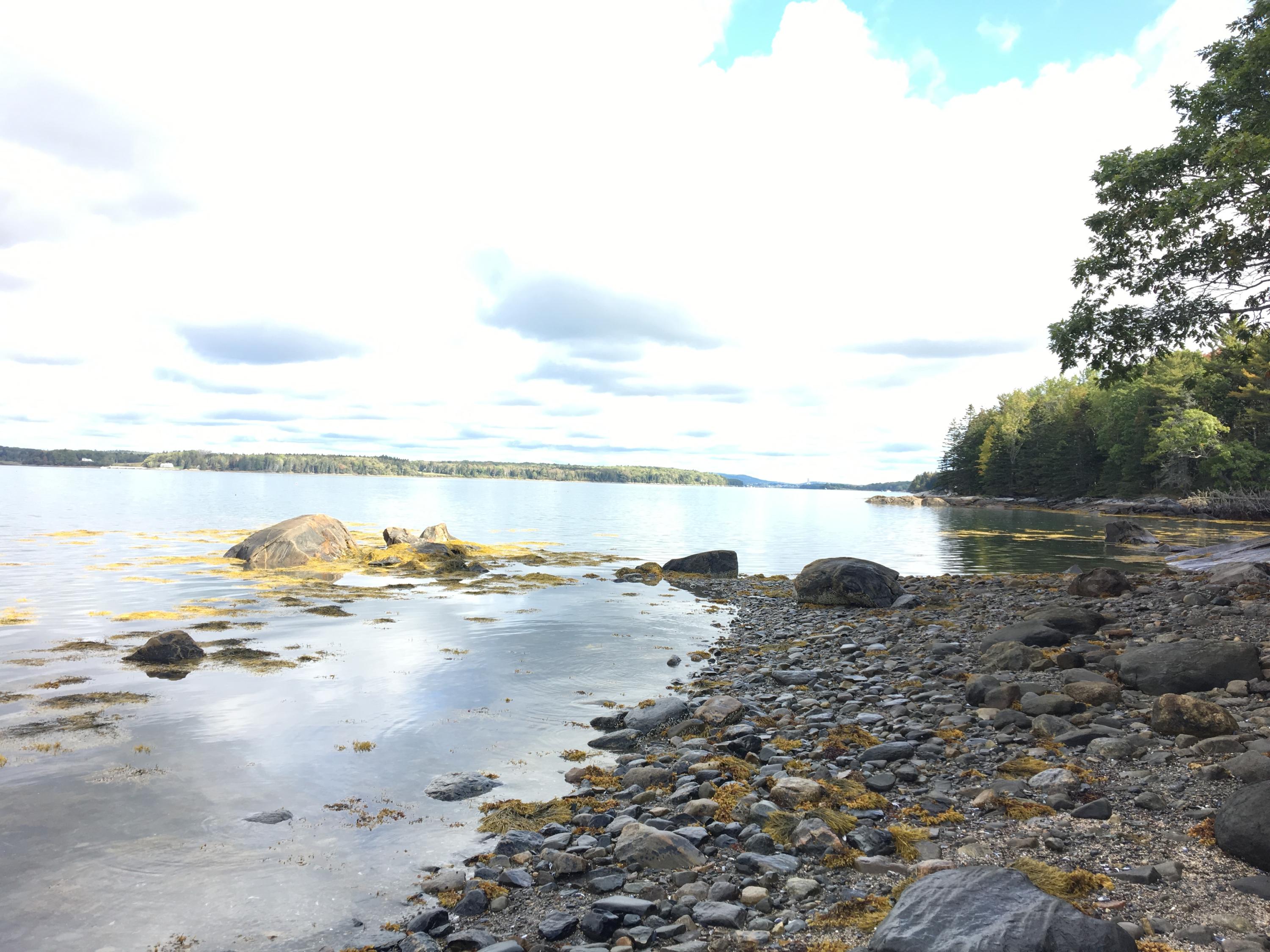 0 Hathorn Point Road Tenants Harbor, ME 04860 - Photo 1 of 16 IMG_0031