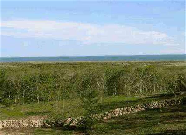 30-40 Tysbury Manor Road Chilmark, MA 02535 - Photo 1 of 2 http://d1qzqeyxiitrap.cloudfront.net/photos/9700/600/36e78abe.jpg