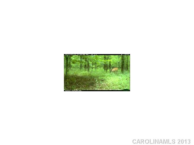 22-ac Schoolfield Road, Unit 15 Ruffin, NC 27326 - Photo 3 of 8 Gallery Image 3