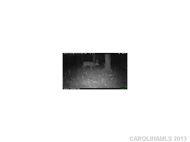 22-ac Schoolfield Road, Unit 15 Ruffin, NC 27326 - Photo 5 of 8 Gallery Image 5