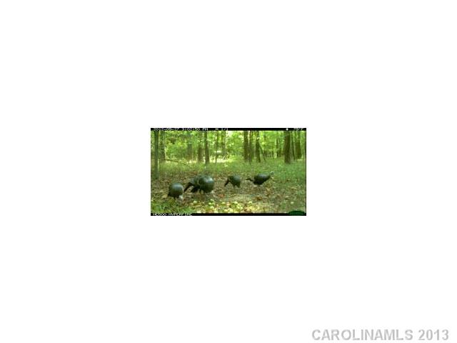 22-ac Schoolfield Road, Unit 15 Ruffin, NC 27326 - Photo 7 of 8 Gallery Image 7