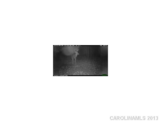 22-ac Schoolfield Road, Unit 15 Ruffin, NC 27326 - Photo 8 of 8 Gallery Image 8