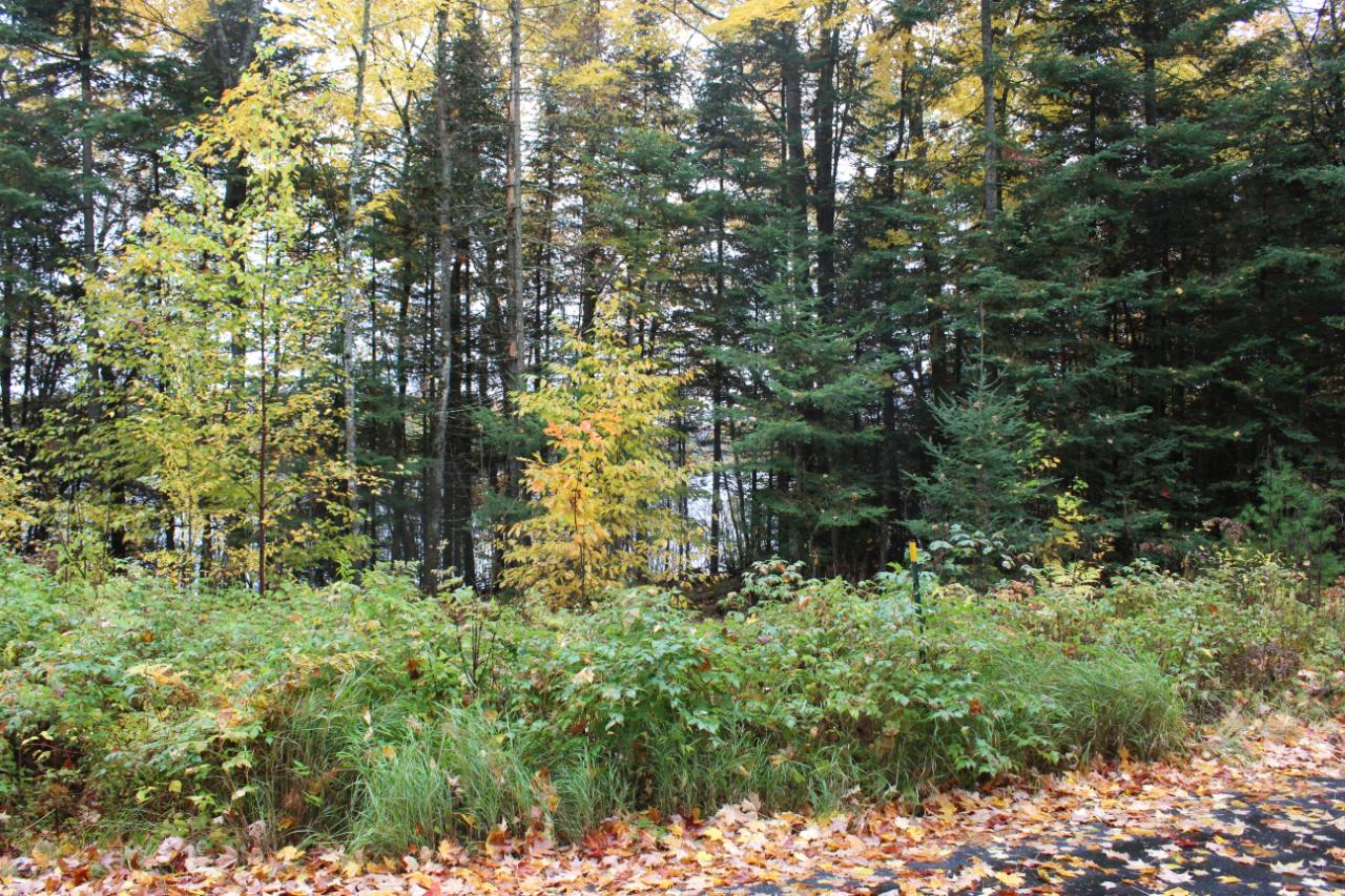 1 East Anvil Lake Road Eagle River, WI 54521 - Photo 2 of 2 Gallery Image 2
