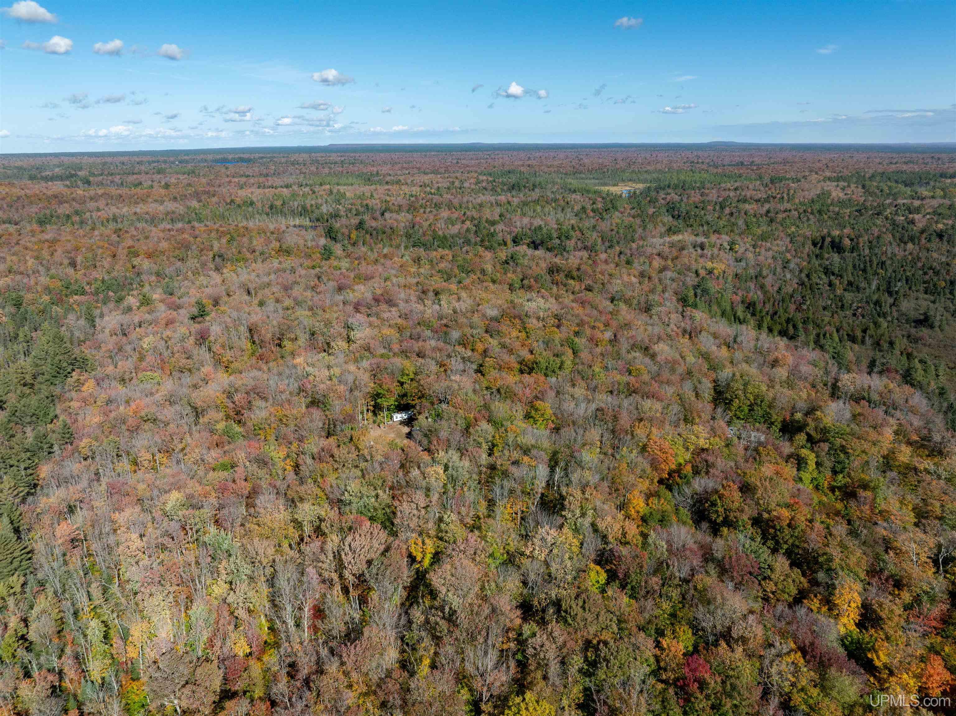 14691 Crooked Lake Road Shingleton, MI 49884 - Photo 12 of 12
