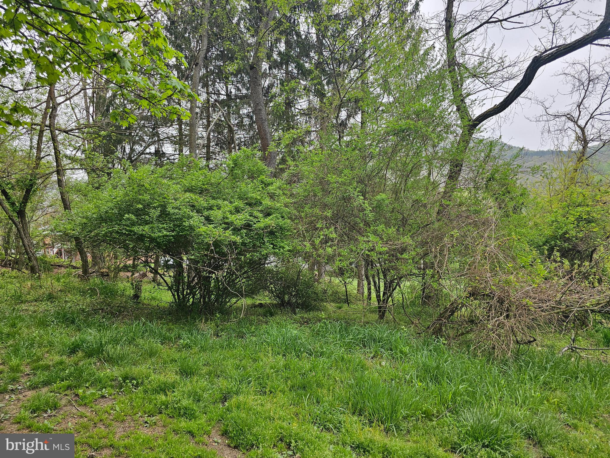 Atlantic Avenue Cumberland, MD 21502 - Photo 2 of 7 a big yard with lots of green space and house