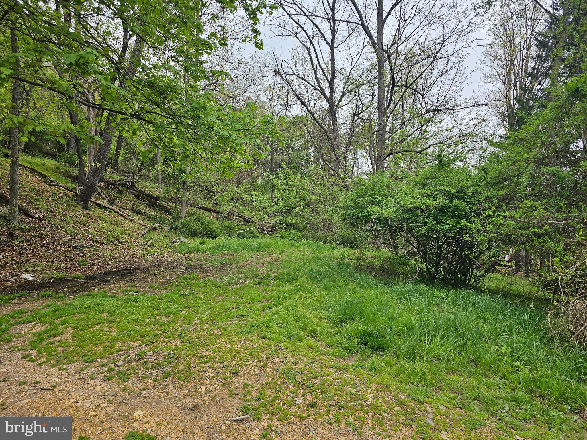 Atlantic Avenue Cumberland, MD 21502 - Photo 3 of 7