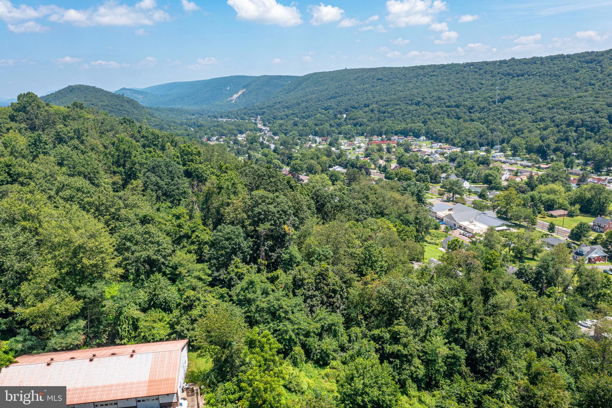 Atlantic Avenue Cumberland, MD 21502 - Photo 5 of 7 a view of a big yard with lots of trees
