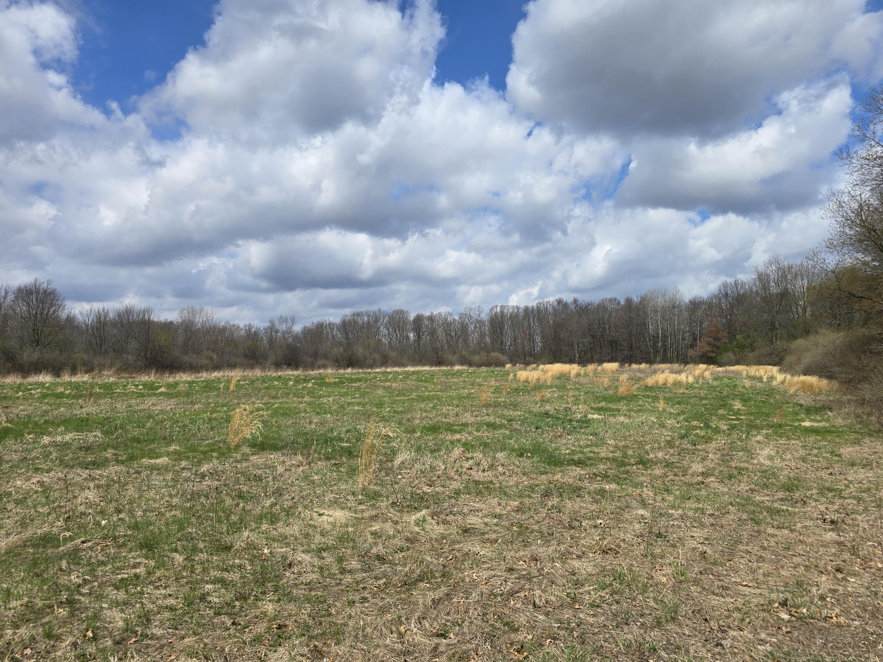 1284 Maplegrove Road Jackson, MI 49201 - Photo 18 of 45 20260413_132157