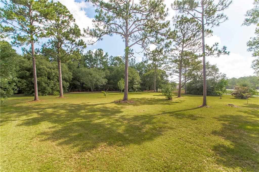 61473 Friendship Church Road Amite, LA 70422 - Photo 37 of 40 Gallery Image 37