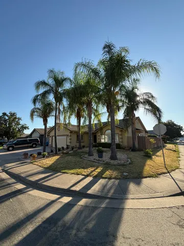 a view of a yard with palm tree