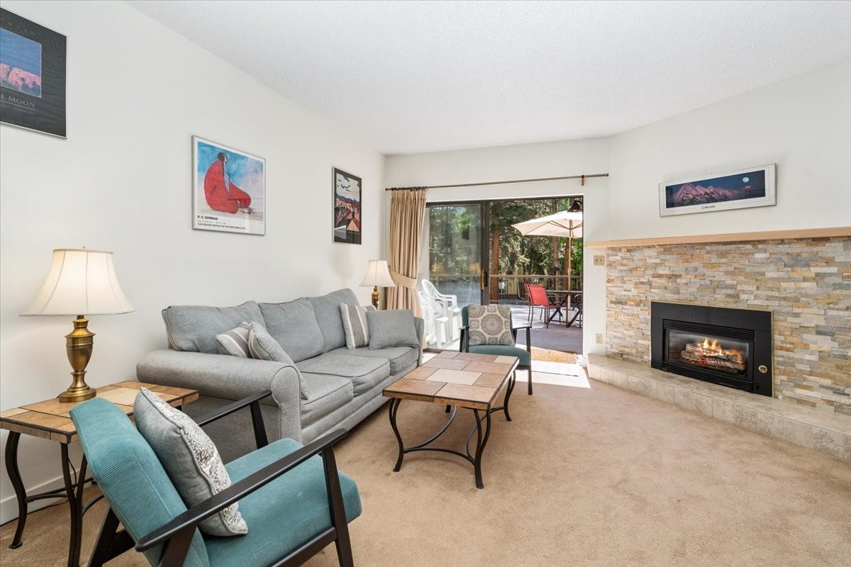 720 Columbine Road, Unit 104 Breckenridge, CO 80424 - Photo 4 of 28