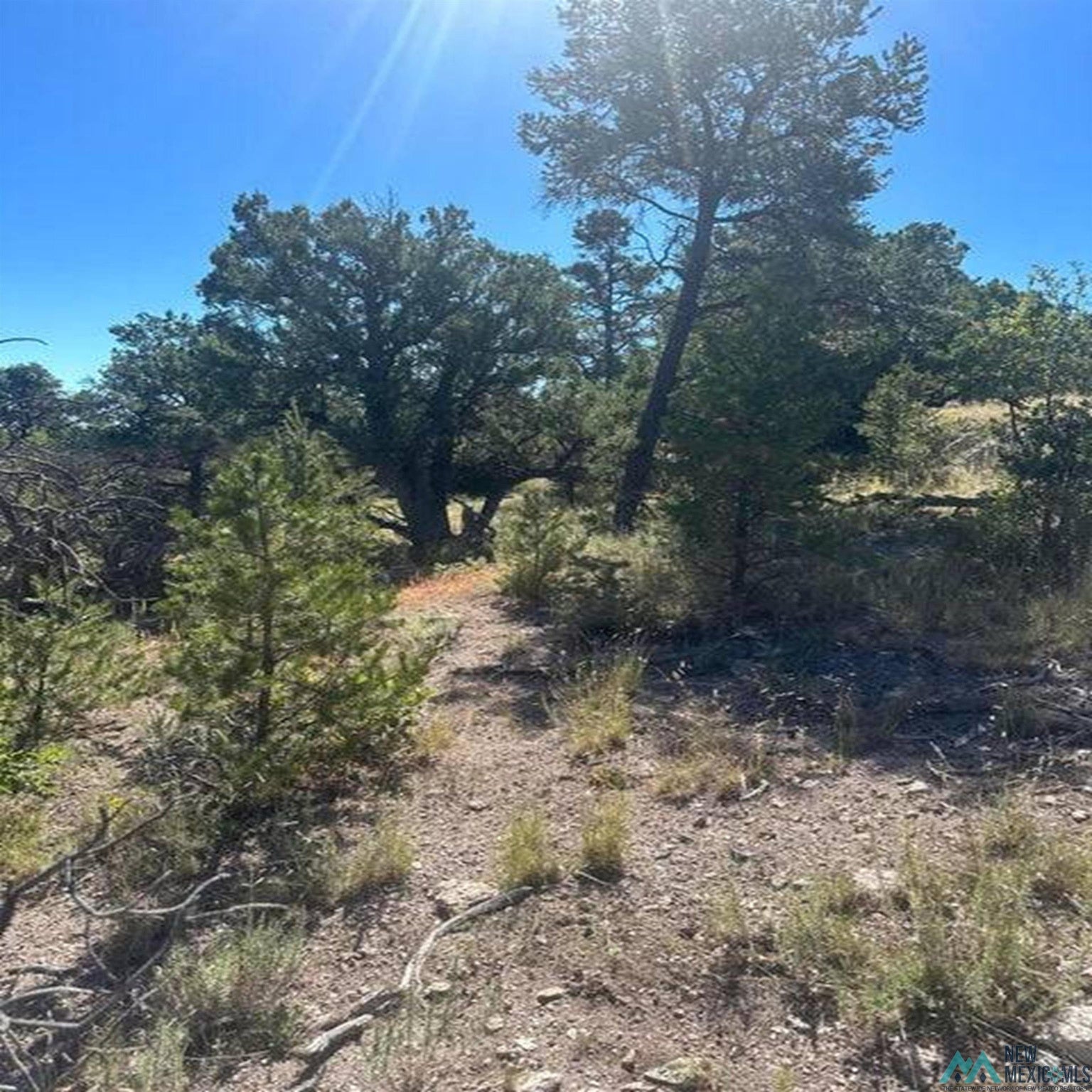 70 Lookout Circle Datil, NM 87821 - Photo 5 of 6 Gallery Image 5