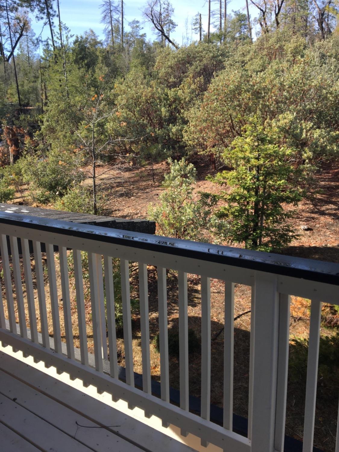 40576 Saddleback Road Bass Lake, CA 93604 - Photo 15 of 28 Gallery Image 15