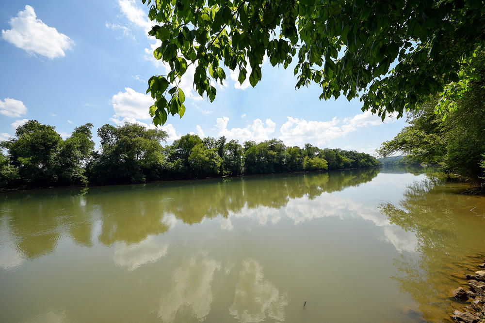 360 River Run Road Calhoun, TN 37309 - Photo 31 of 38 30