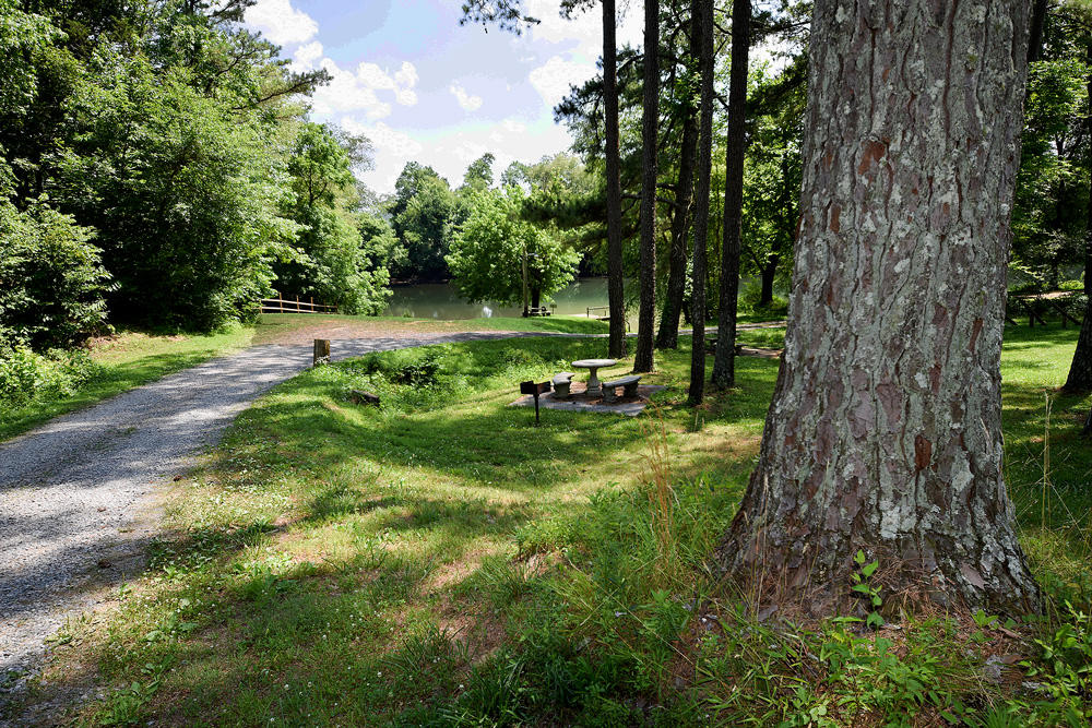 360 River Run Road Calhoun, TN 37309 - Photo 34 of 38 33