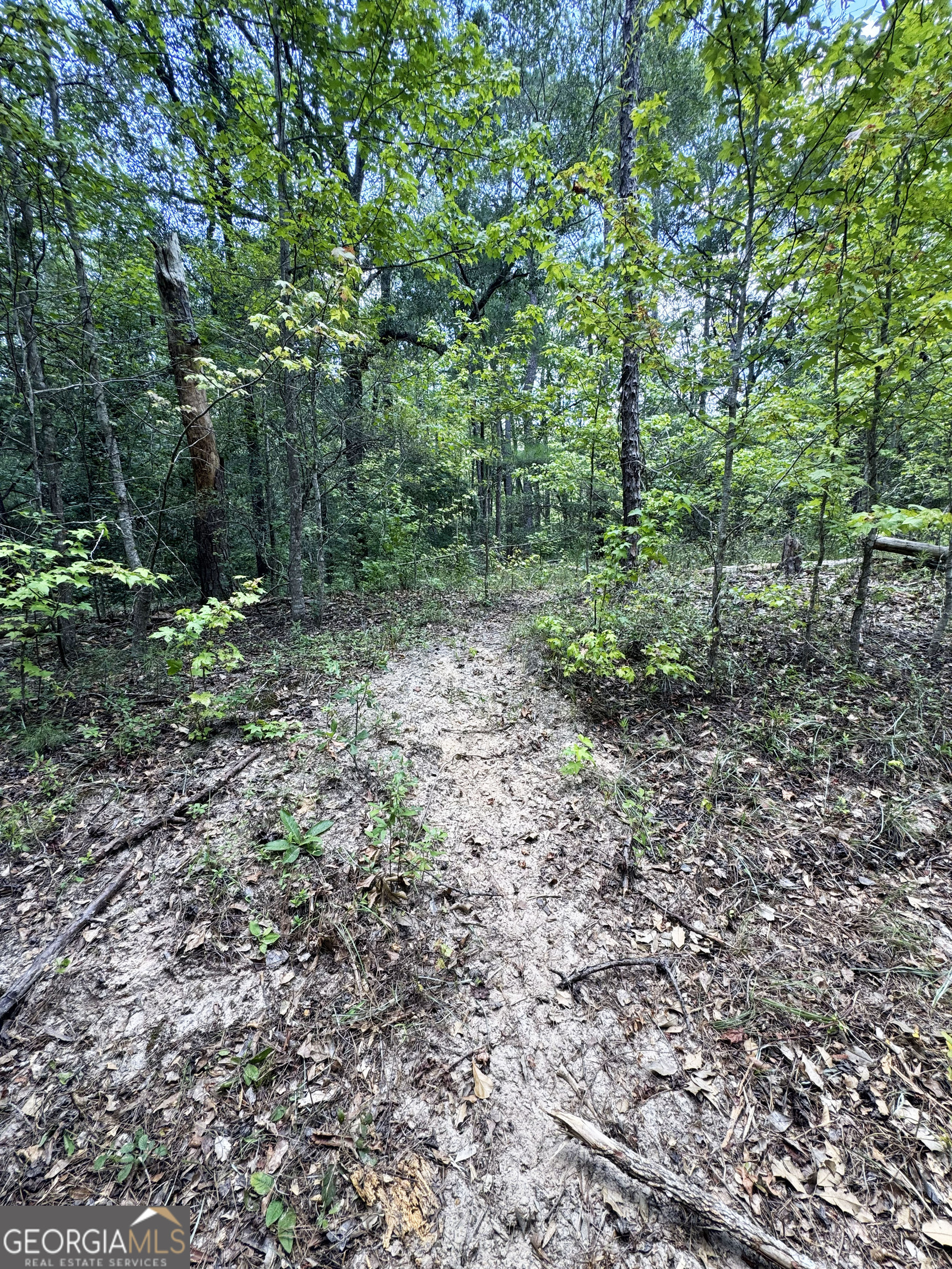 Tbd Tbd Wooten Road Cuthbert, GA 39840 - Photo 39 of 71