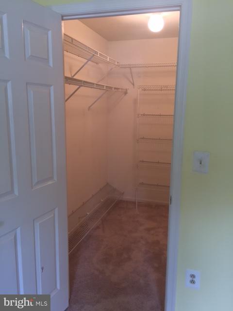 4100 Chardel Road, Unit 1D Baltimore, MD 21236 - Photo 12 of 22 Master Bedroom Walk-In Closet