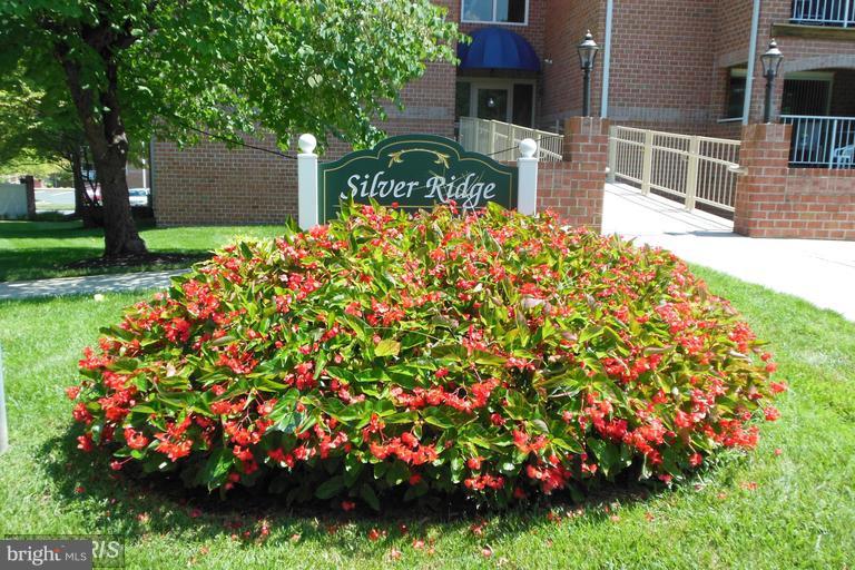 4100 Chardel Road, Unit 1D Baltimore, MD 21236 - Photo 22 of 22 Silver Ridge Community