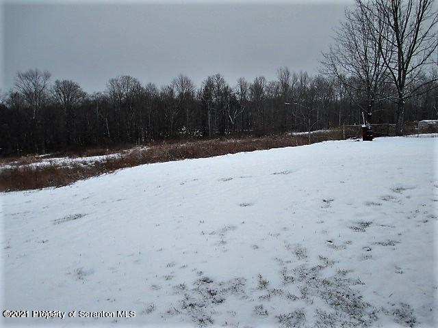 700 Stock Farm Road Lake Ariel, PA 18436 - Photo 35 of 37 a view of a yard with a snow on the road