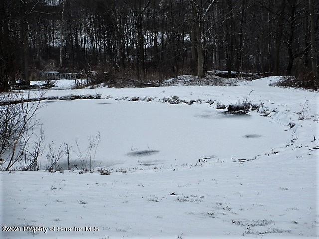 700 Stock Farm Road Lake Ariel, PA 18436 - Photo 36 of 37 a view of a yard with snow on the road