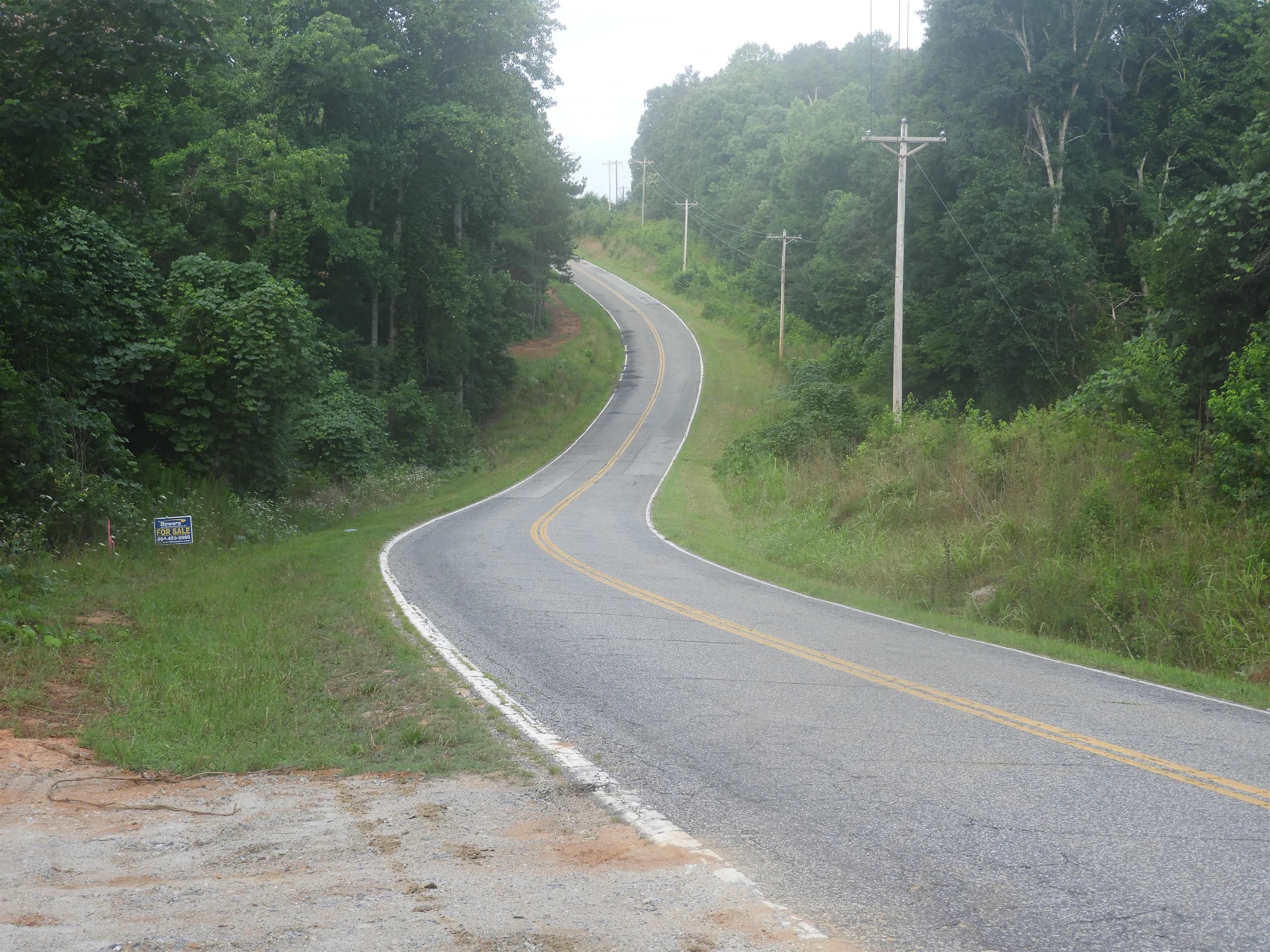 2109-tract D 2109-tract D Riddle Road Pauline, SC 29374 - Photo 16 of 42