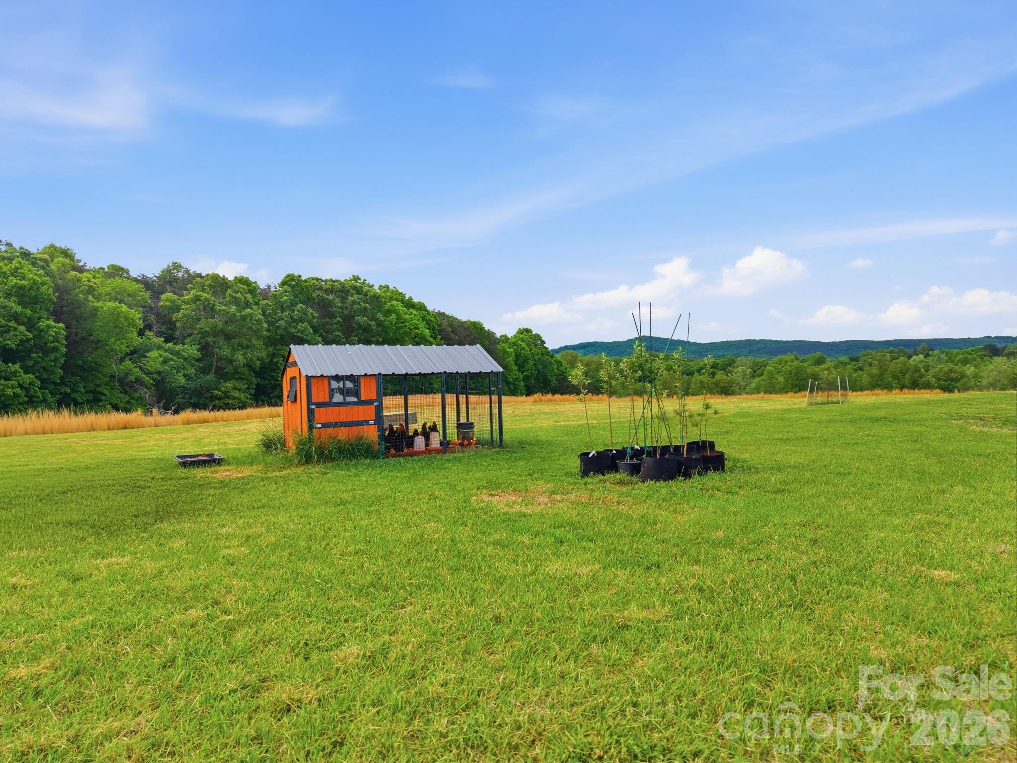 211 Race Path Road Union Grove, NC 28689 - Photo 37 of 47 Gallery Image 37