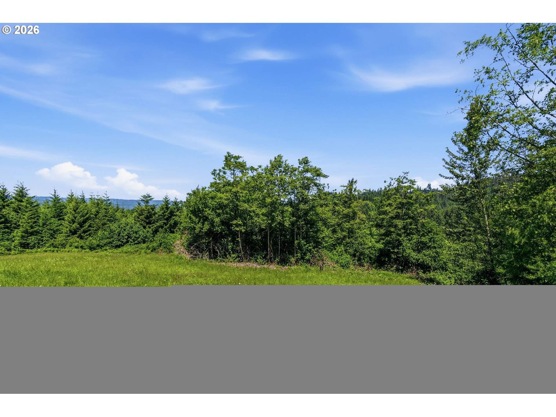 852 Confer Road Kalama, WA 98625 - Photo 4 of 16