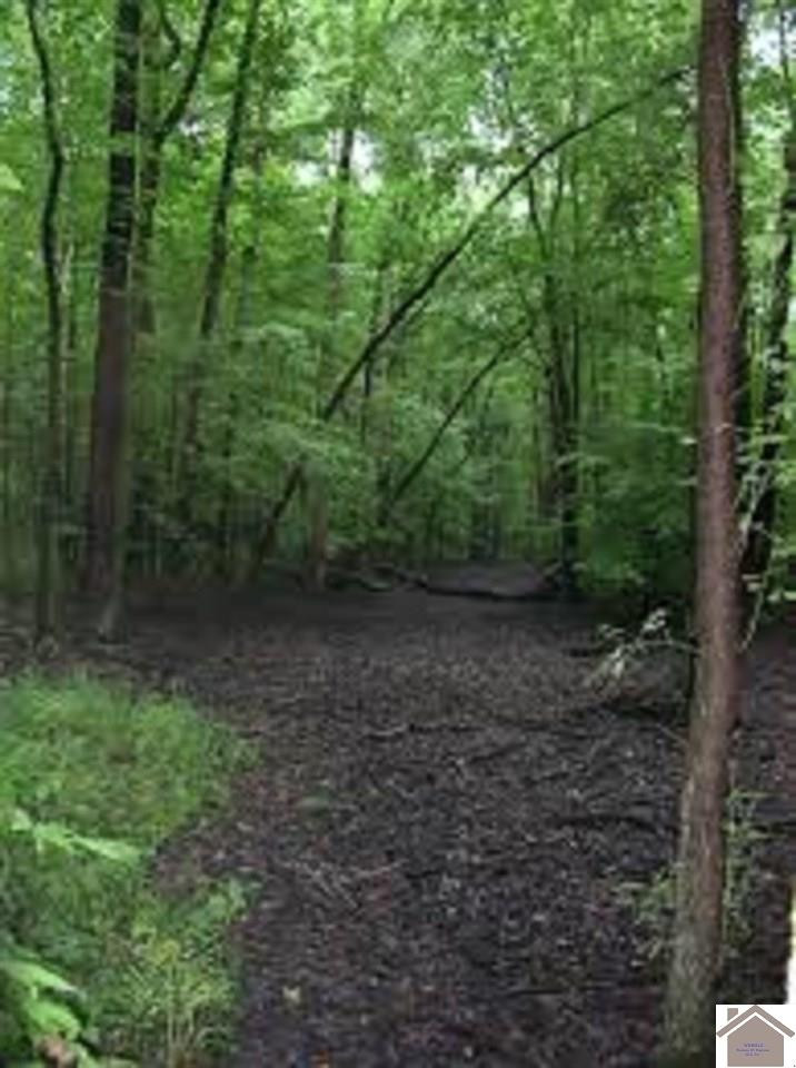 0 Hollifield Cemetery Road Wingo, KY 42088 - Photo 1 of 1 Photo 1