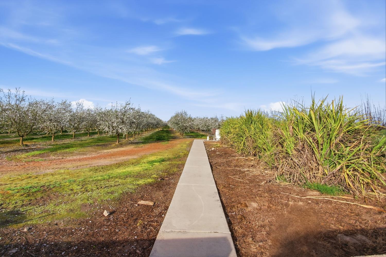 5333 Geer Road Turlock, CA 95382 - Photo 21 of 37 a view of lake with yard