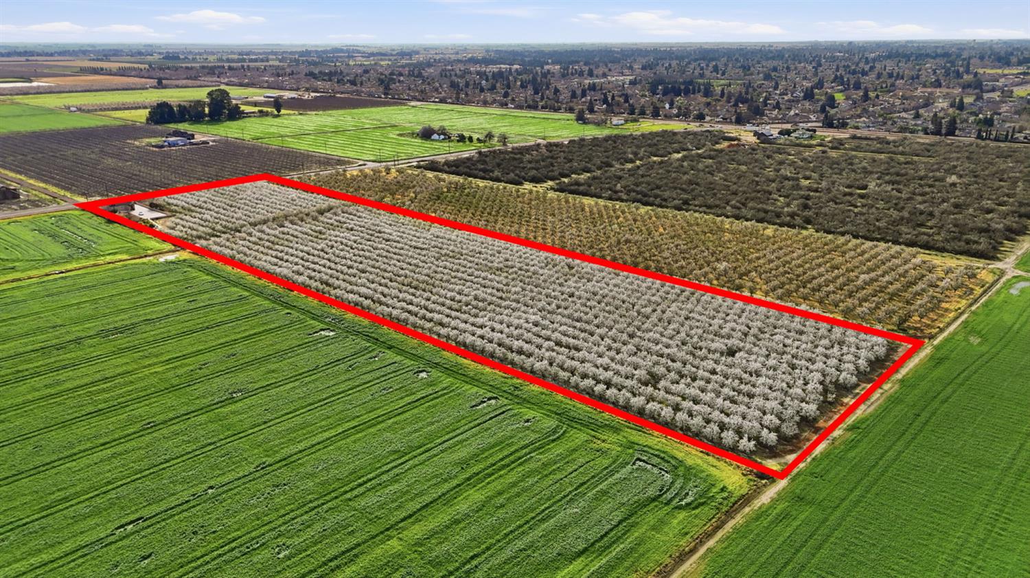 5333 Geer Road Turlock, CA 95382 - Photo 32 of 37 a view of a tennis court