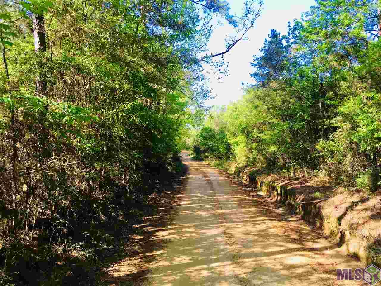 0 Higgins Road Liberty, MS 39645 - Photo 2 of 17