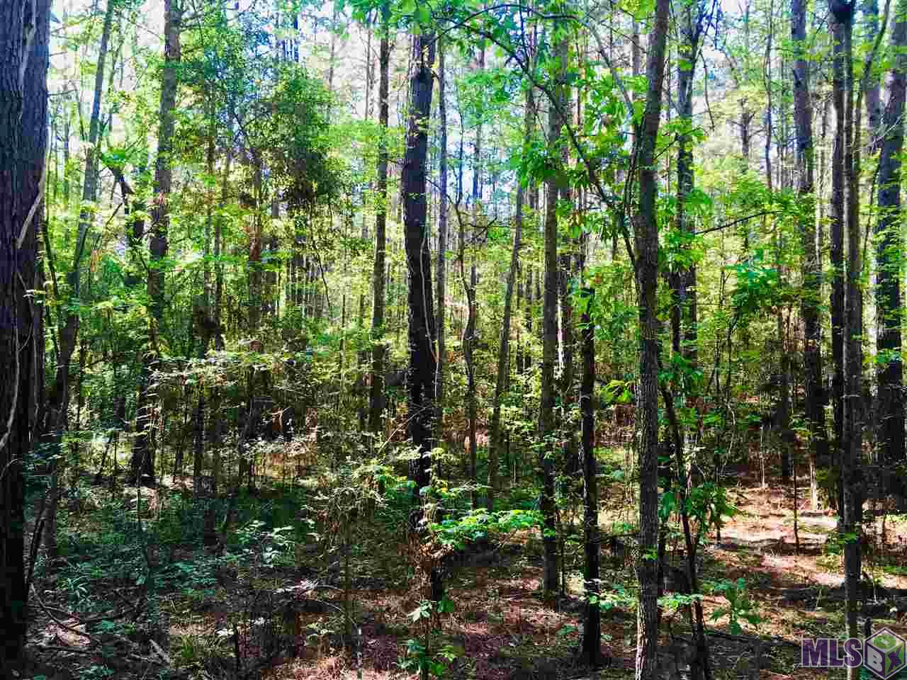 0 Higgins Road Liberty, MS 39645 - Photo 5 of 17