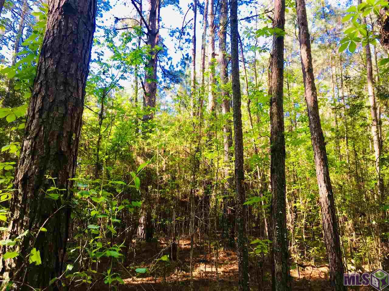 0 Higgins Road Liberty, MS 39645 - Photo 8 of 17