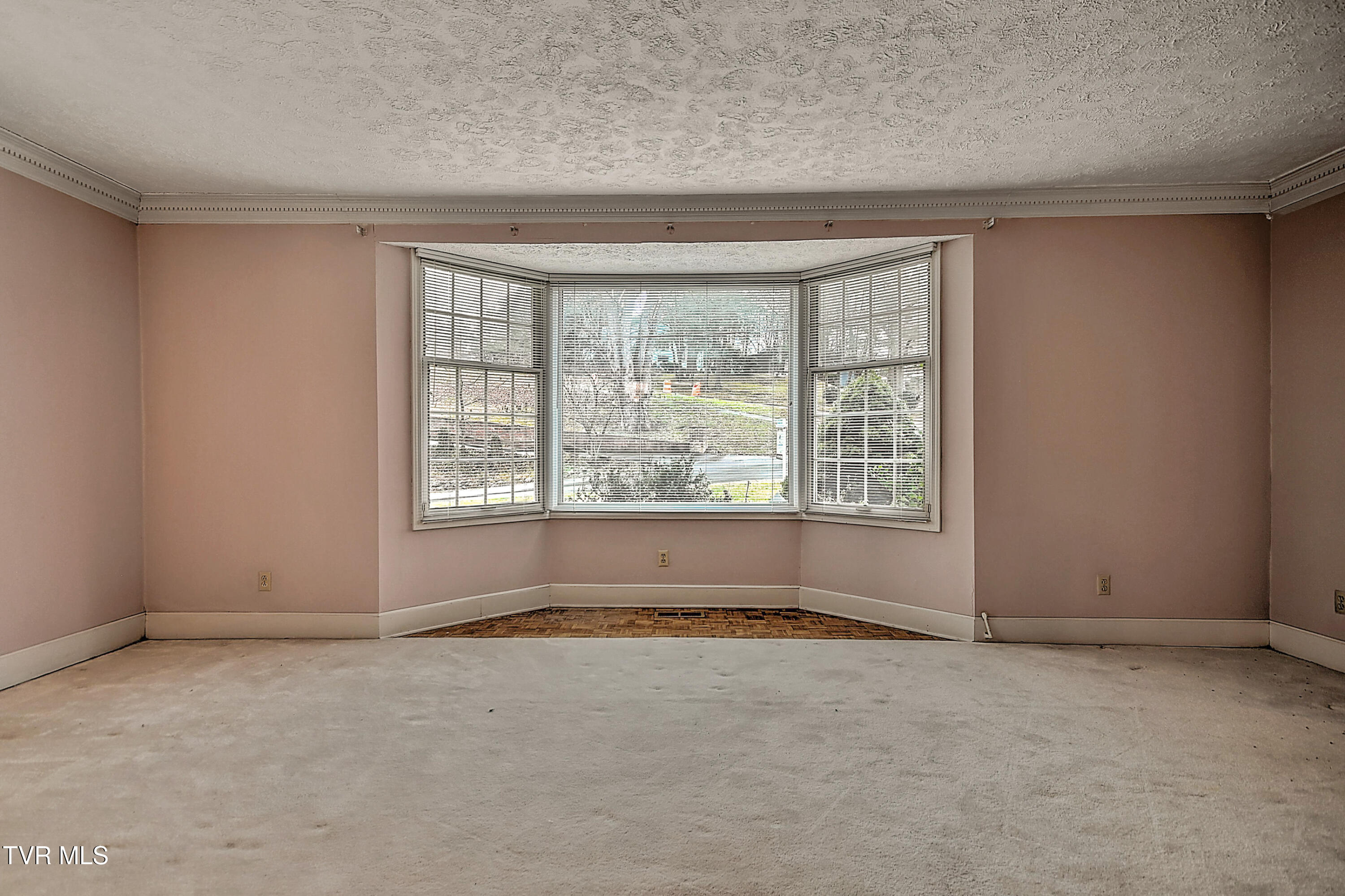 1237 Radcliffe Avenue Kingsport, TN 37664 - Photo 9 of 58 1237 Radcliffe ES-9