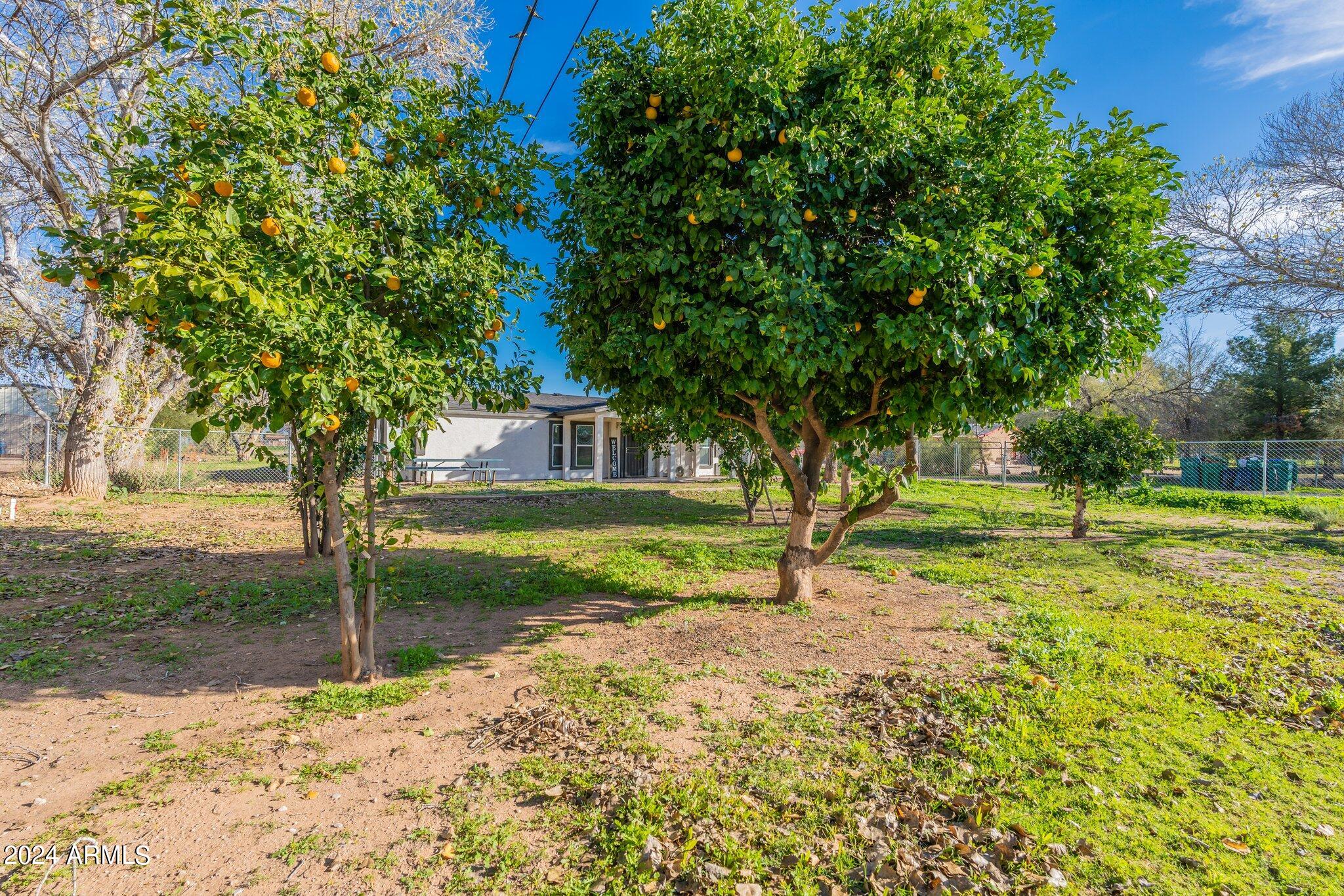 4800 East Rolling Ridge Road San Tan Valley, AZ 85140 - Photo 8 of 51 13-web-or-mls-Rolling-HD-5