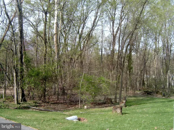 $60,000 | Lot 23 Emerald Drive, Falling Waters, WV 25419