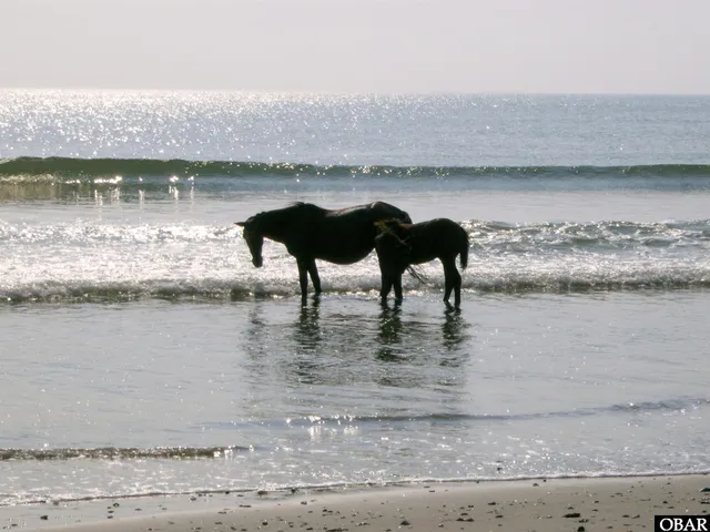 $275,000 | 2166 Sandfiddler Road, Corolla, NC 27927