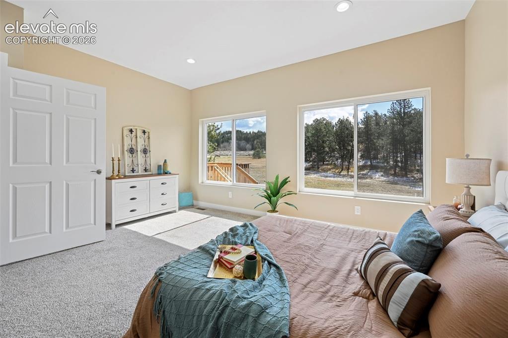 108 High Pasture Road Florissant, CO 80816 - Photo 16 of 39