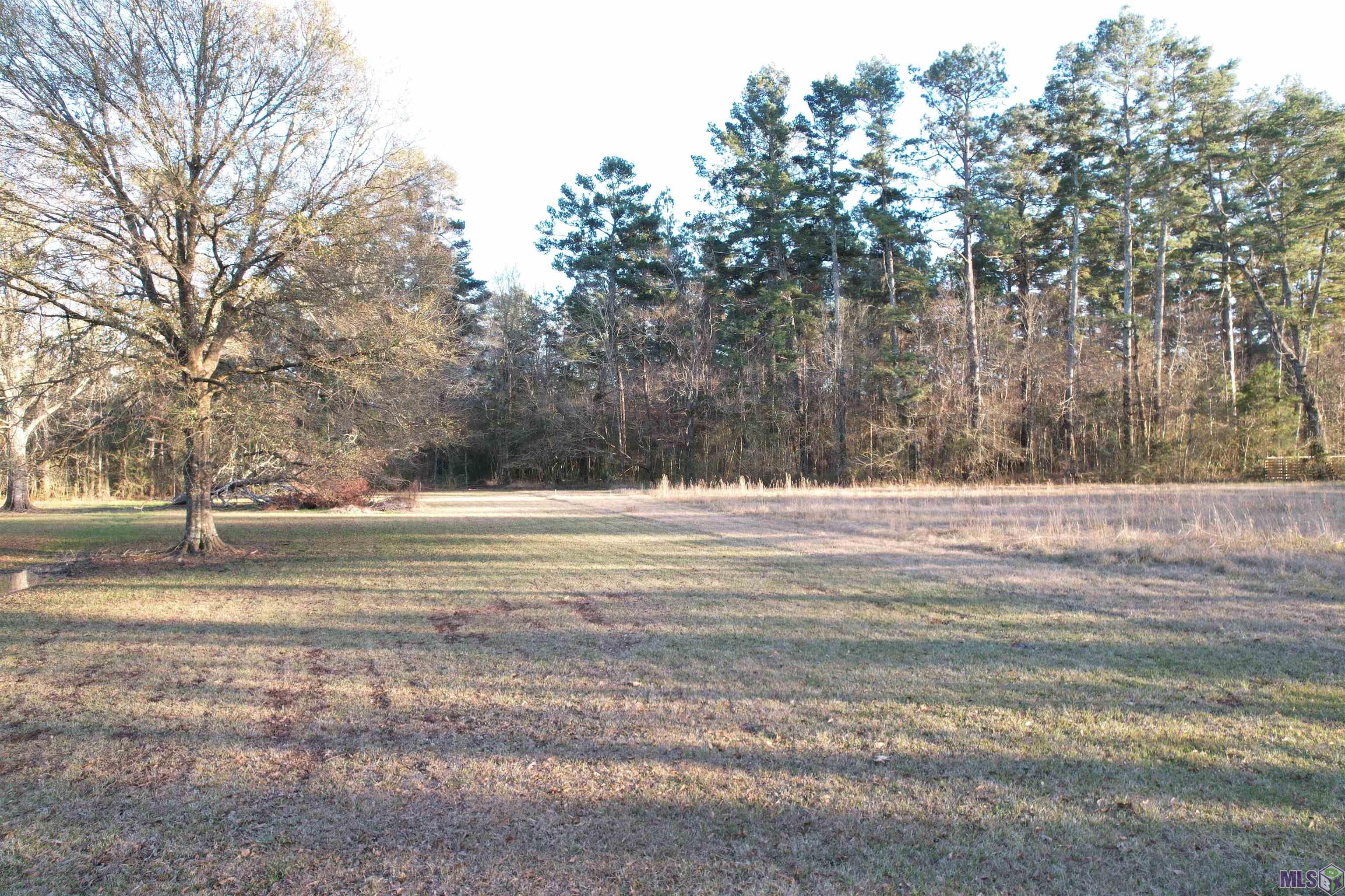 32380 Butch Bennett Road Walker, LA 70785 - Photo 1 of 6 Gallery Image 1