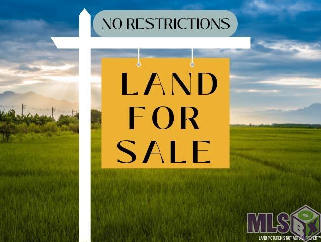 32380 Butch Bennett Road Walker, LA 70785 - Photo 6 of 6 LAND